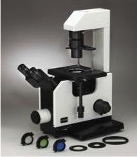 Inverted Light Microscope